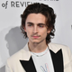 Image for article titled Timothée Chalamet Grew a Hideous Little Goatee And It Sucks